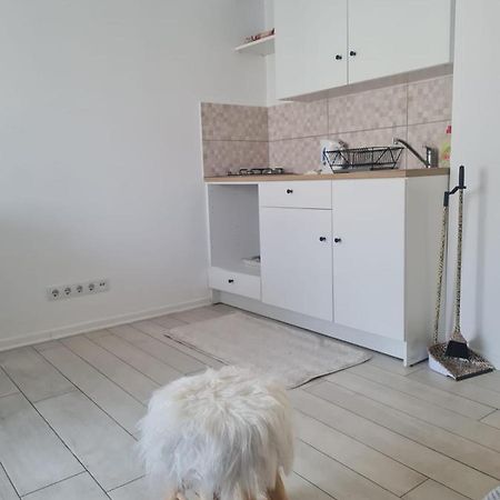 Cute Modern Apartman Zagreb Apartment Bagian luar foto