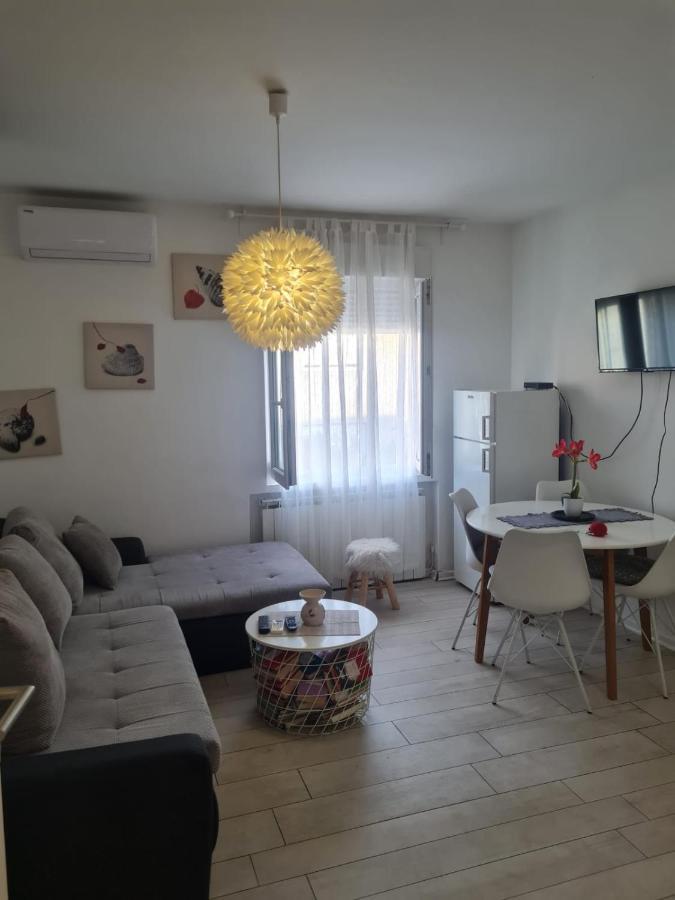Cute Modern Apartman Zagreb Apartment Bagian luar foto